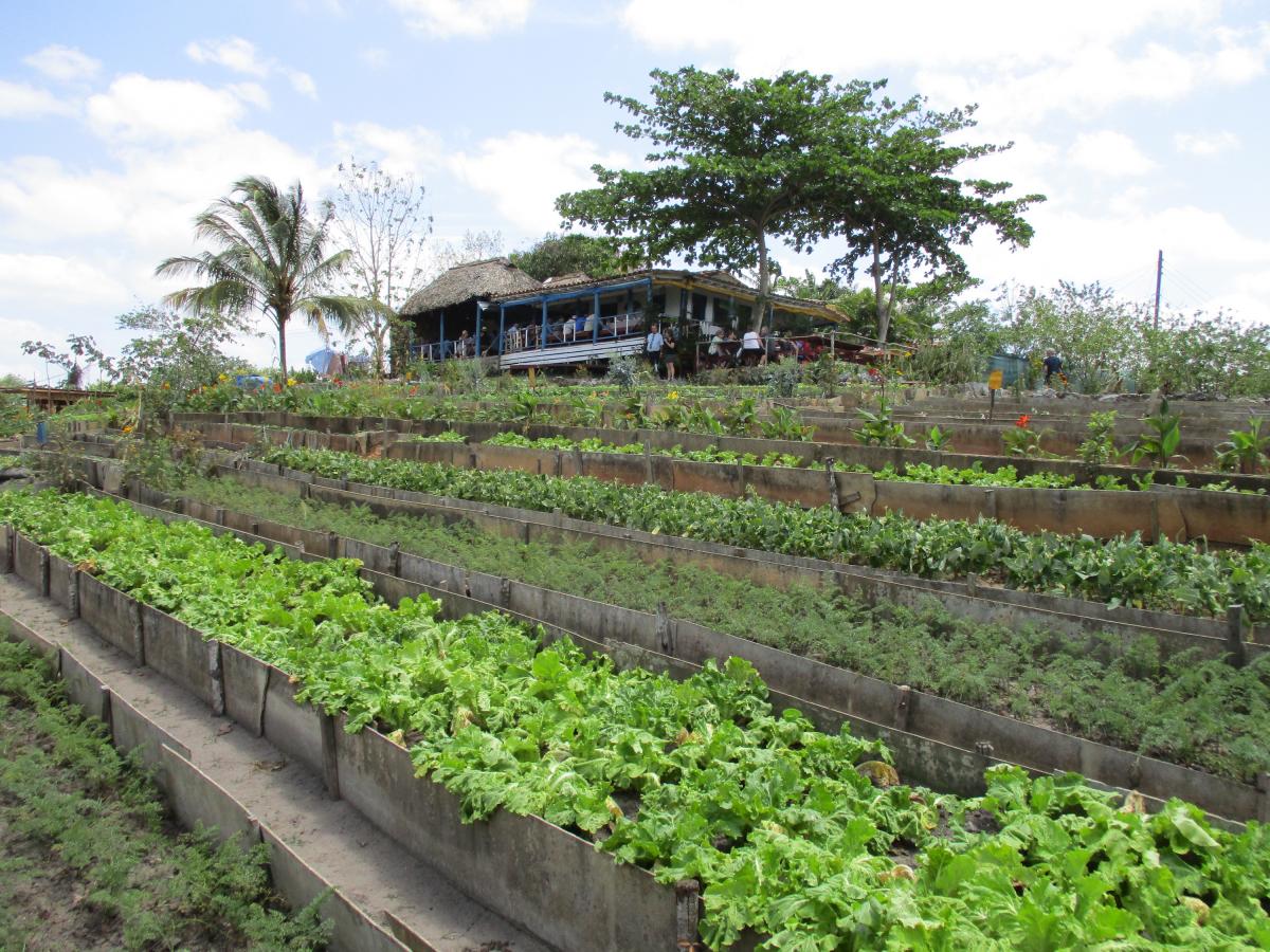 Viñales